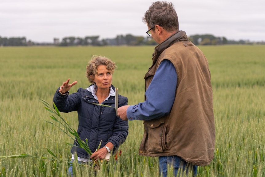 Photo of a man and a man in a field of crops.