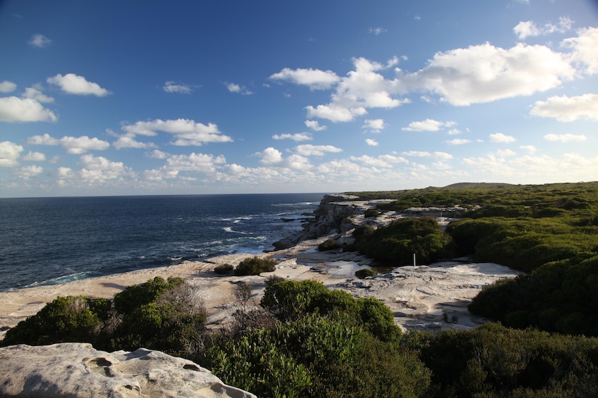 Cape Solander