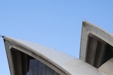 Sydney Opera House sails against a blue sky backdrop