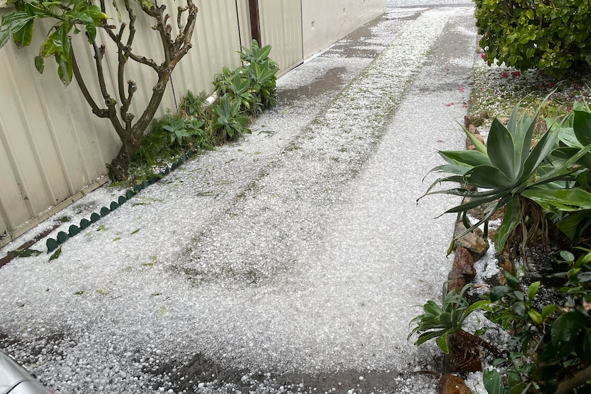 Hail covers a driveway, almost looks like snow 