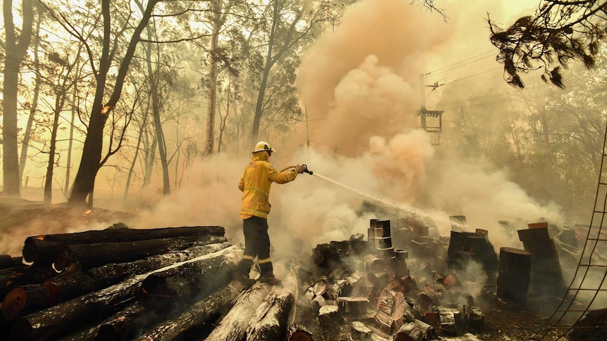 A firefighter is seen directing a hose at burning tree stumps. Smoke billows up behind him.
