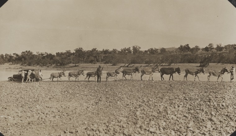 An old fashioned car is haled across sand from the river while a man with a whip watches.
