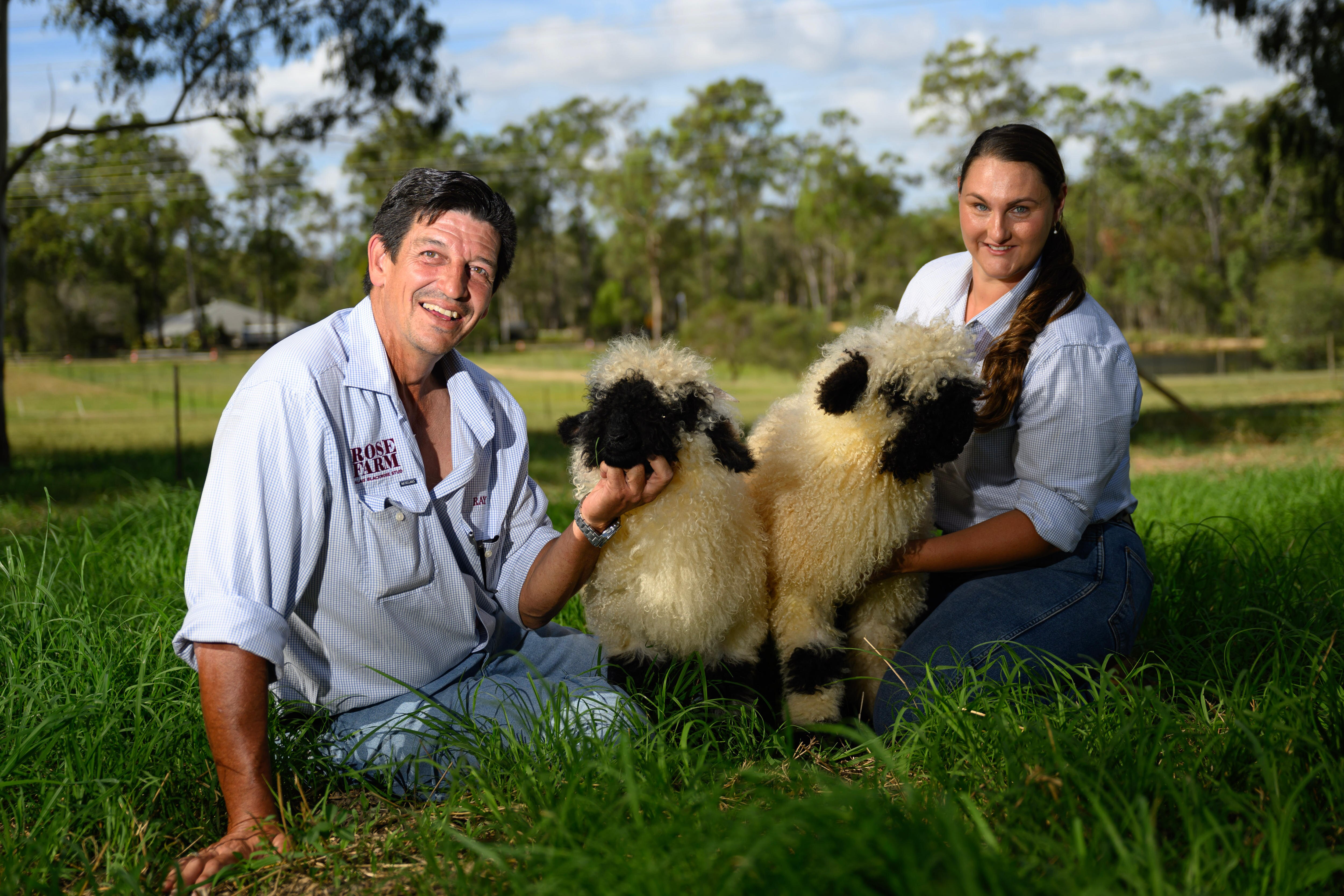 a man and woman pose on grass with two white and black sheep