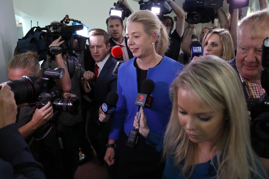 Deputy National Party leader Bridget McKenzie is surrounded by journalists at Parliament House.