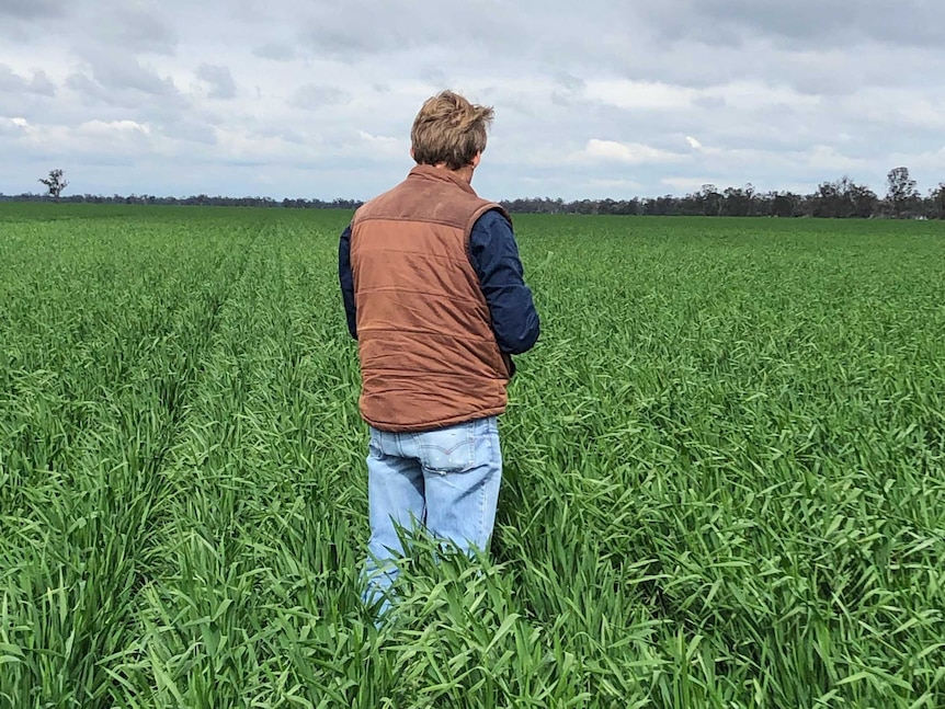 Matthew Madden in crops