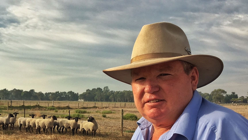 Harold Sealy wearing akubra and blue shirt with a paddock of suffolk ewes and grey cloudy sky