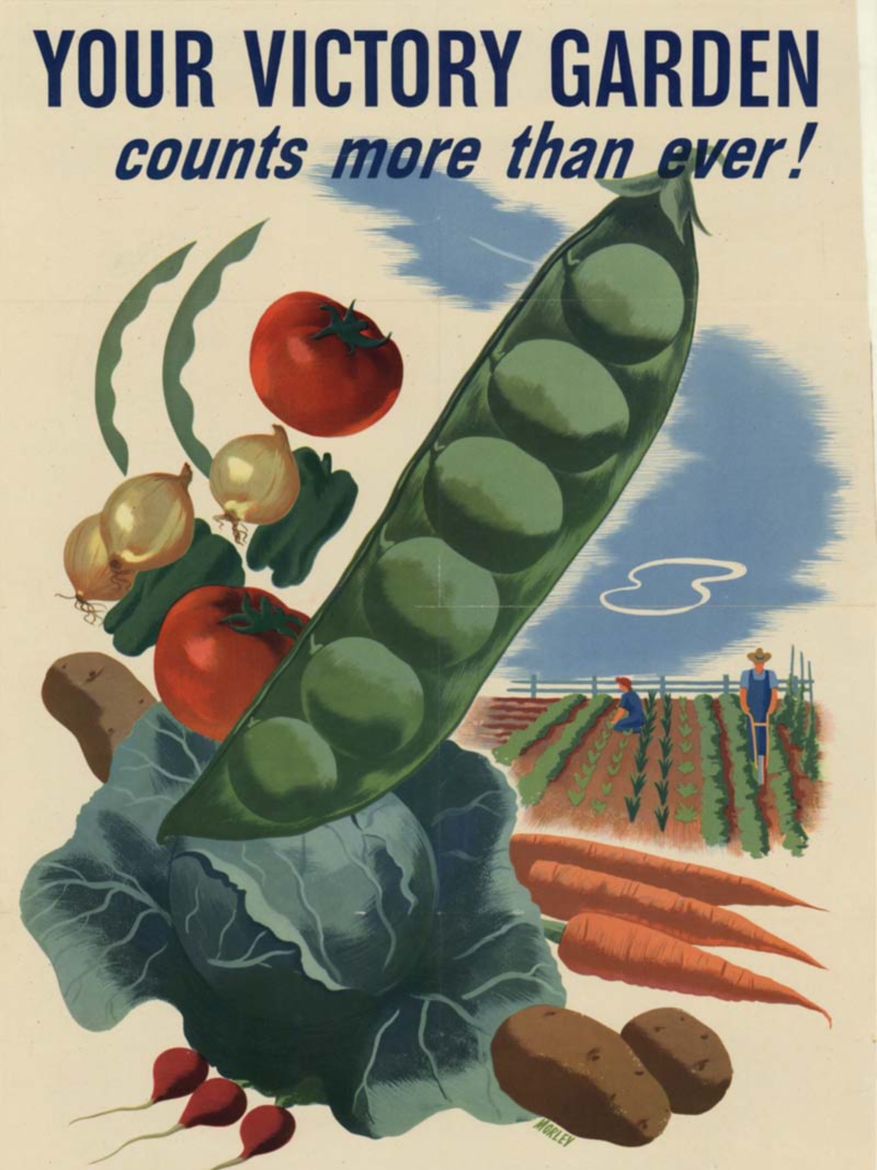 An American advertisement promoting victory gardens in WWII