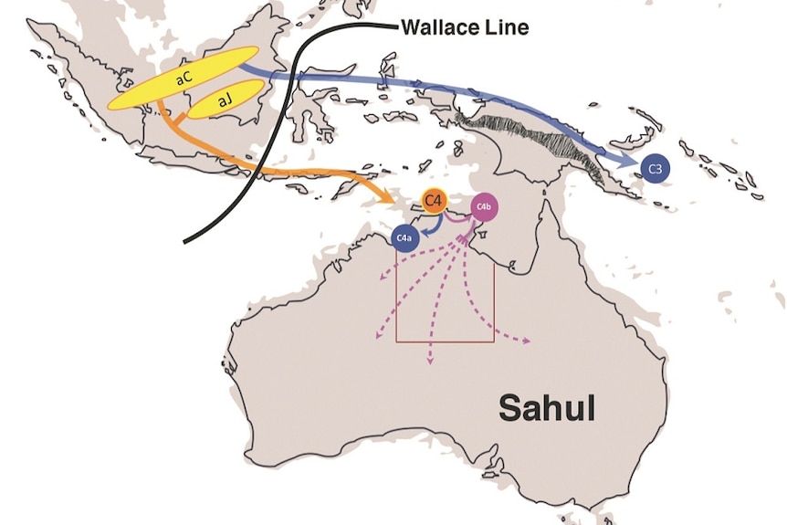 A map showing the migration route of the virus.