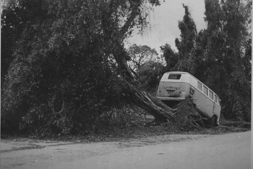 Black and white picture of a mini-van in a tree, damaged from a cyclone