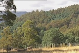 Farmland bordering Tasmania's extended World Heritage Area