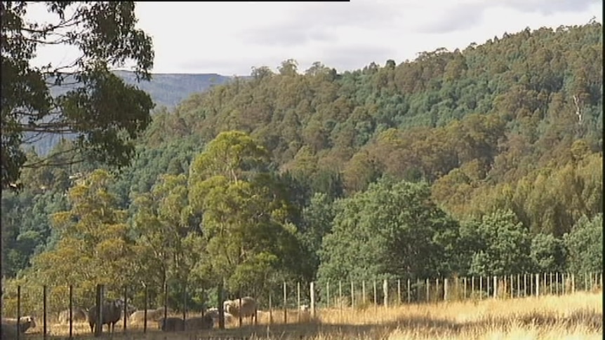 Farmland bordering Tasmania's extended World Heritage Area