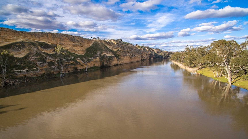 A river banked by trees beneath an azure sky dotted with clouds.