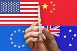 A hand holding a needle with the US, china, EU and Australian flags.