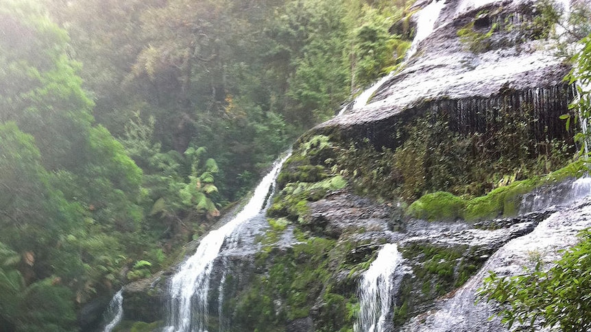 A waterfall in the Tarkine wilderness, north-west Tasmania