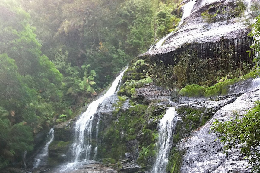 Waterfall in the Tarkine wilderness, north-west Tasmania