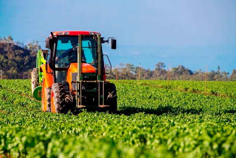 A tractor operating in field of basil on a far north Queensland herb farm