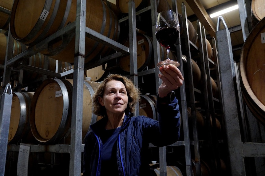 A woman holding up a wineglass in a barrel room.