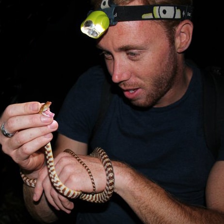 Simon Clulow holds a Brown Tree Snake