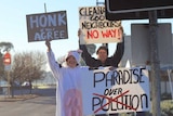 A woman dressed as a cow holding a protest sign about pollution.