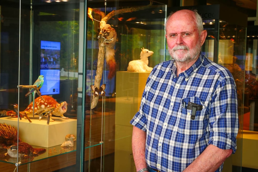 A man in a blue check shirt stands in front of a glass display cabinet with a stuffed quoll, possum, platypus and echidna.