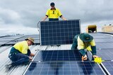 Solar panel installers on a school roof