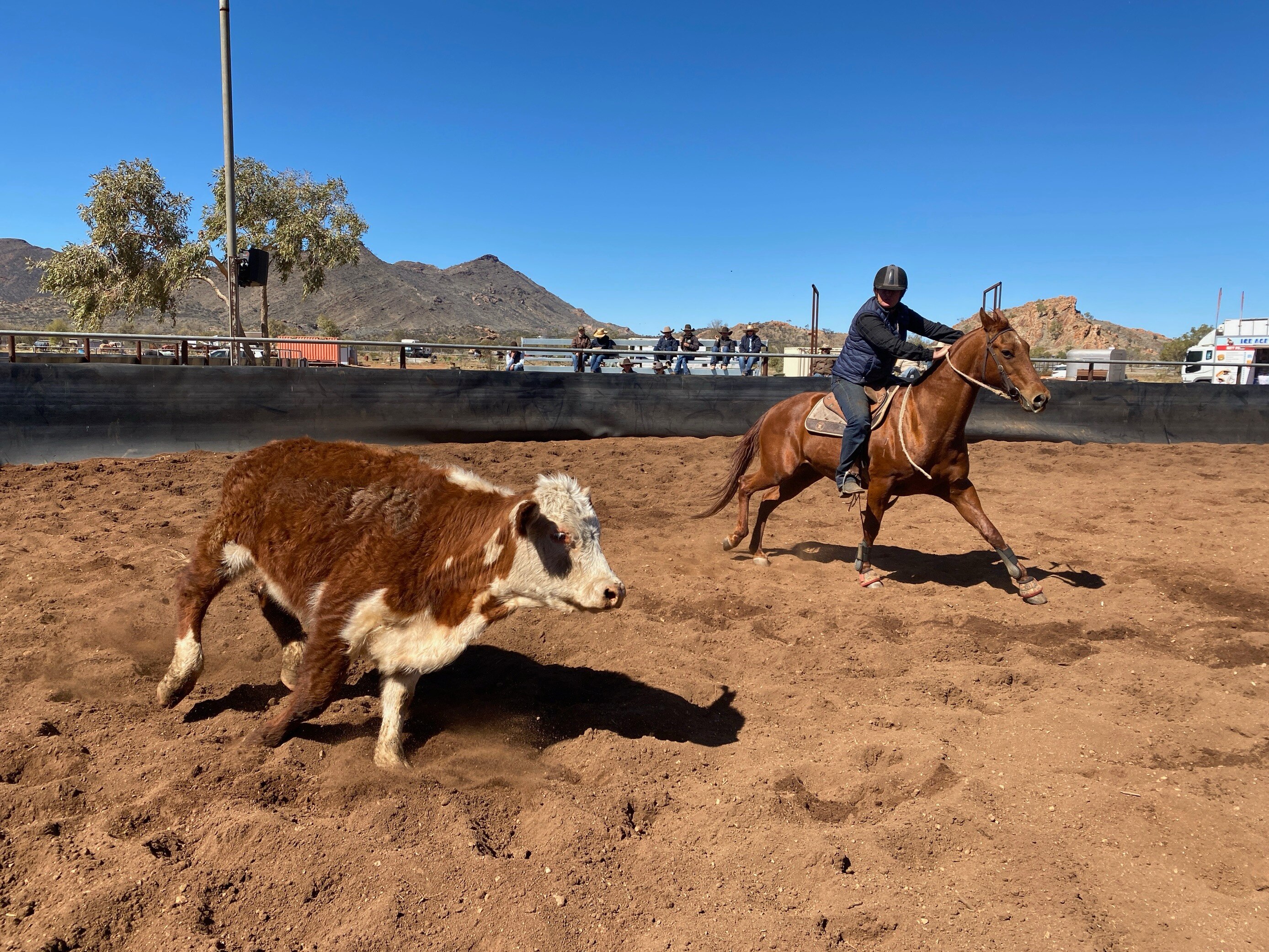 NT Country Hour - ABC listen