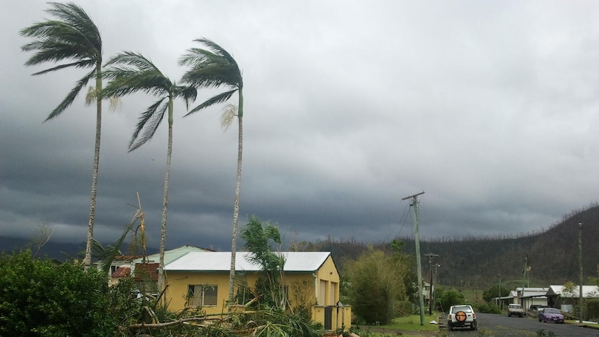 Fallen trees surround a battered home in El Arish, south of Innisfail, on February 3, 2011