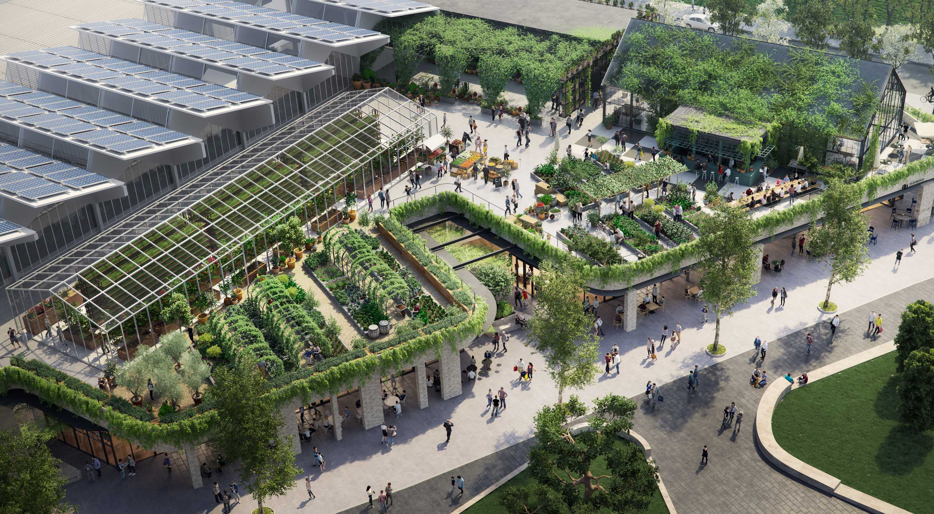 Artists impression of a 2,000 sqm urban farm on the rooftop of a shopping centre in Melbourne.