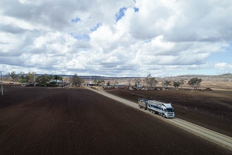 A cattle truck leaves the dairy farm.