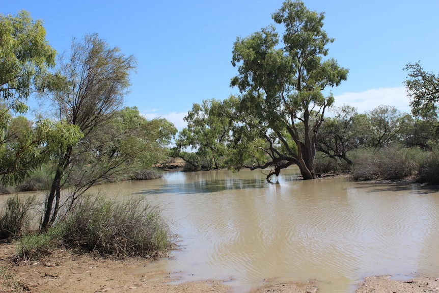 A brown river flows through the outback.