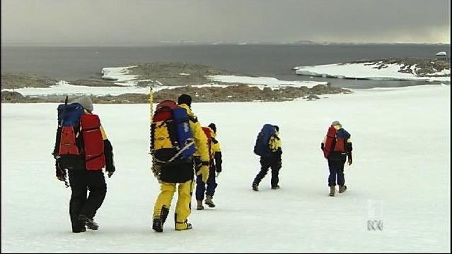 A group of people trek through snow