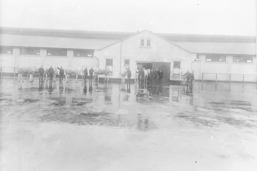 A dozen people stand outside a building in the distance with horses