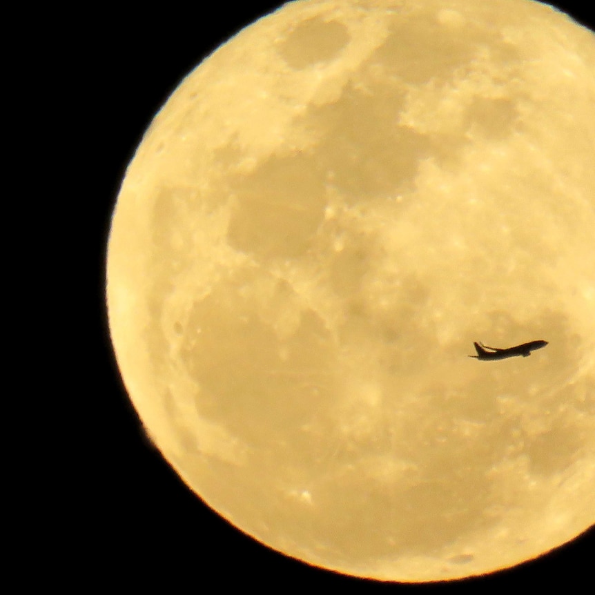 Plane flying with a large moon in the background.