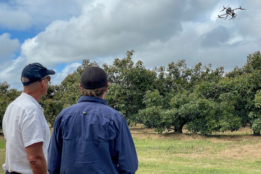 two men with backs to the camera in foreground watch a drone hover over trees in background