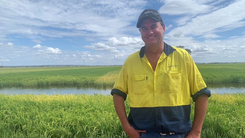 A man in a Fluro yellow shirt stands in front of a rice crop