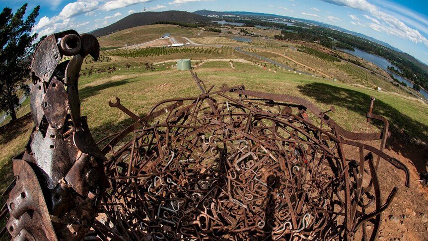 A bird's-eye view of Canberra from a metallic bird's nest sculpture