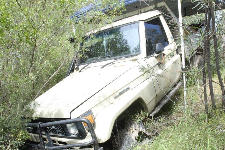 A 1986 cream coloured Toyota Land Cruiser wedged in bushes.