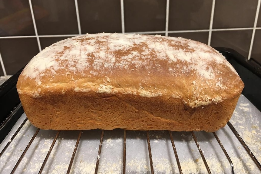 A freshly baked white sandwich loaf sitting on a baking tray, homemade bread success.