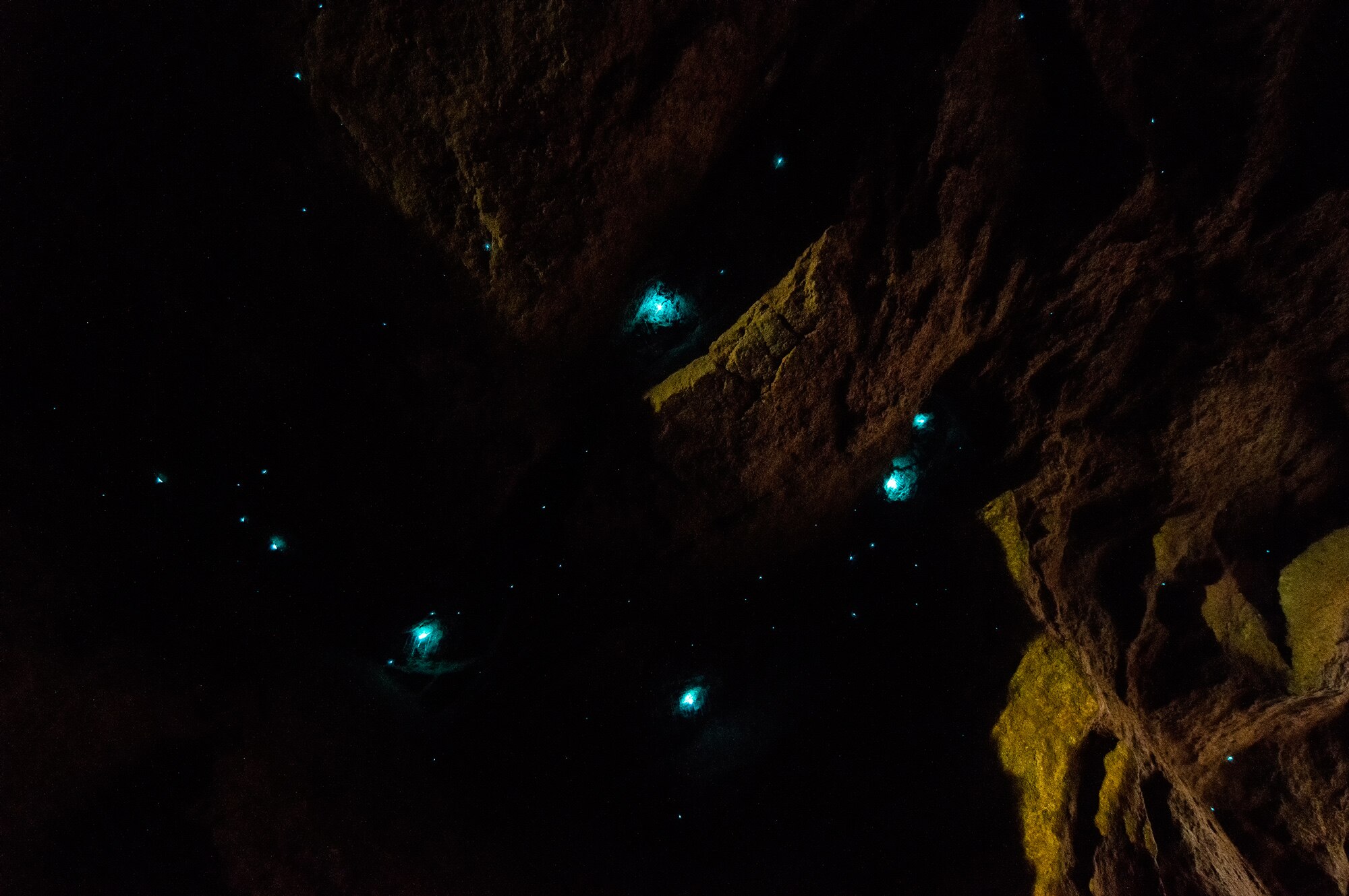 Scientists explain Tasmania's glowing aurora australis, sea sparkle, glow worm attractions ABC