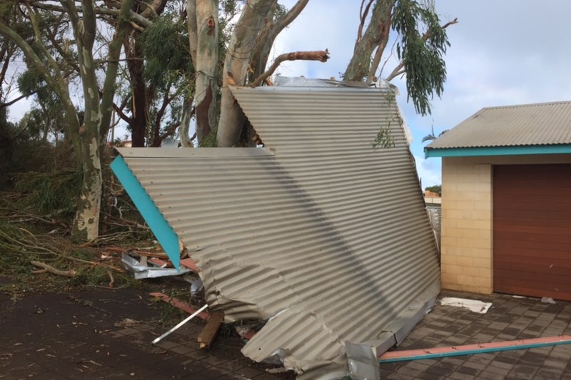 Part of a tin roof in a front yard