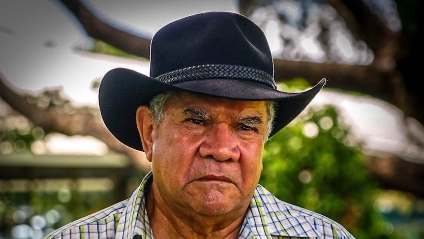 Mick Dodson stands in a park, wearing a black hat.