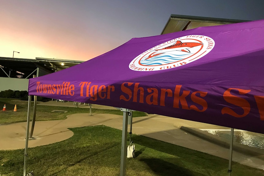 A purple marquee with the words 'Townsville Tiger Sharks Swimming Club' on it