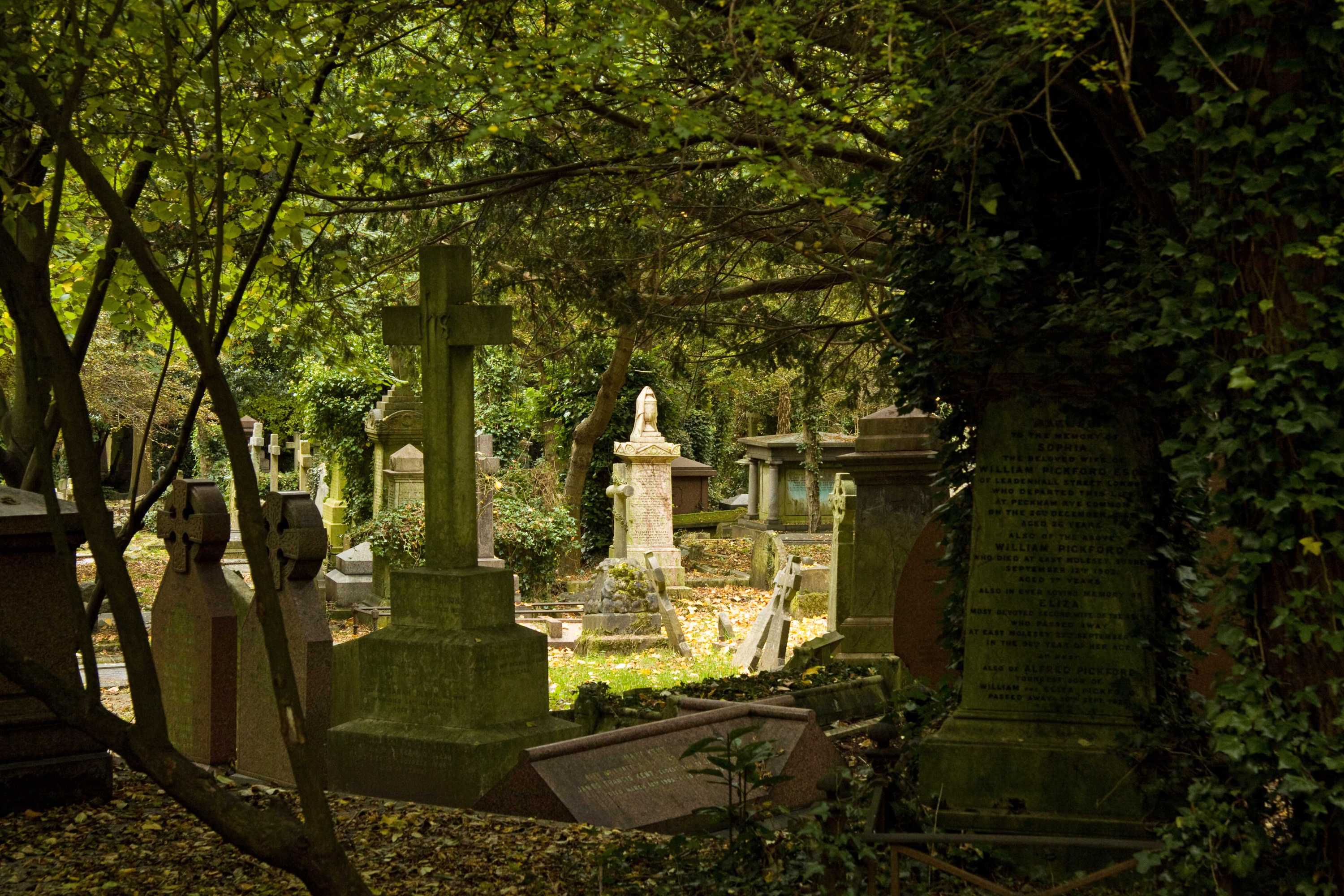 Take a tour of London's Highgate Cemetery