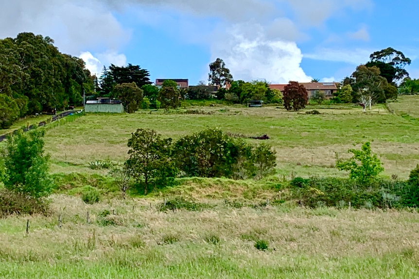 A house in the distance on a semi-rural property surrounded by paddocks of grass and trees
