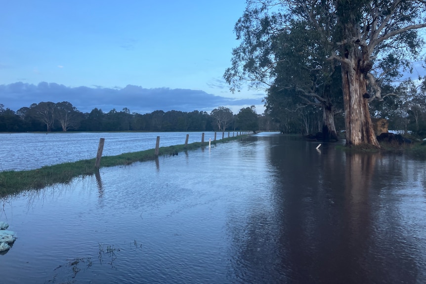 paddocks underwater