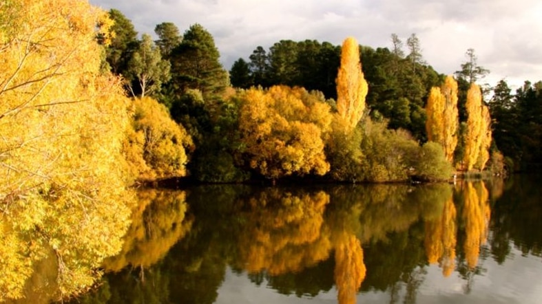 The beautiful colours of Lake Daylesford