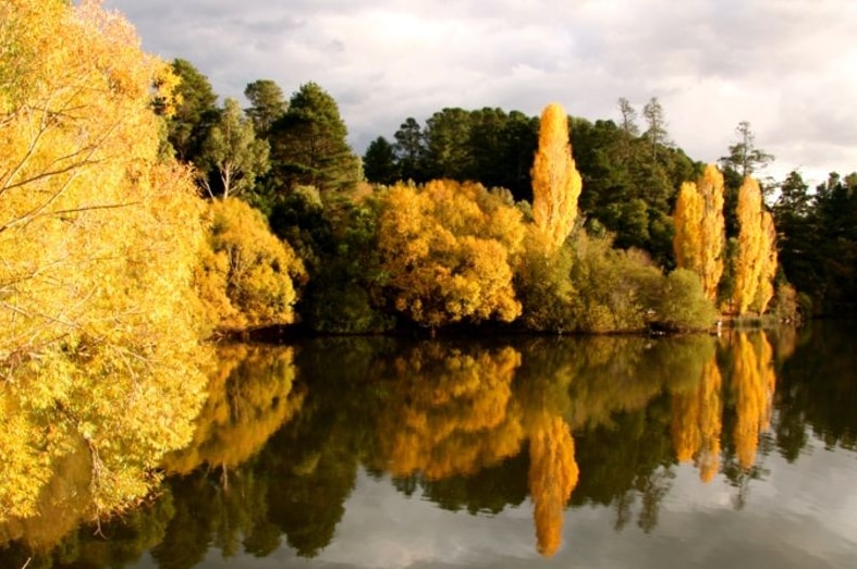 The yellow and green foliage is reflected in the calm waters of the lake. 