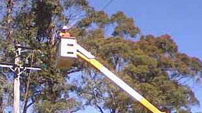Aurora crews work to repair power lines in Tasmania's north.