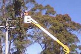Aurora crews work to repair power lines in Tasmania's north.