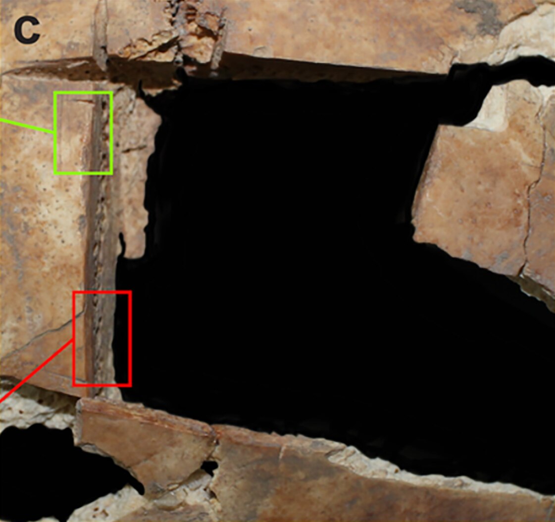 Figure shows close up of cuts to bone.